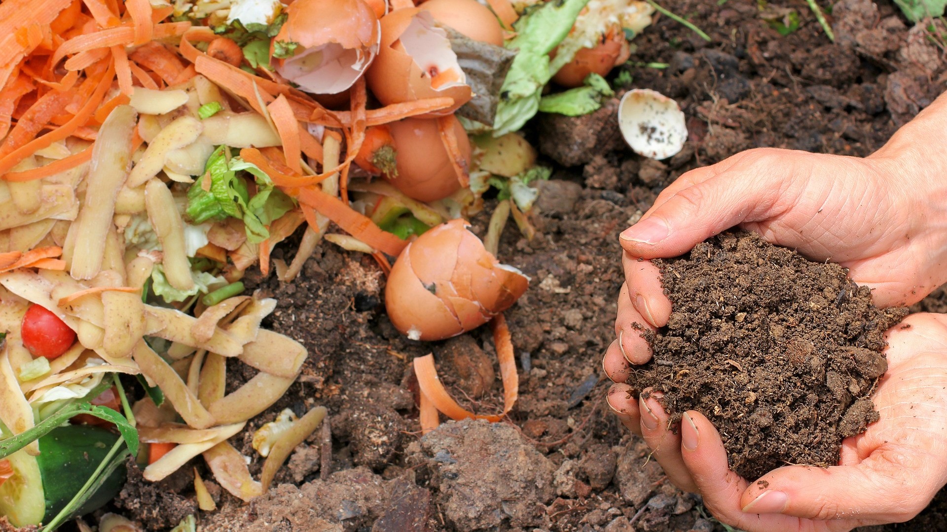 intro compost manos