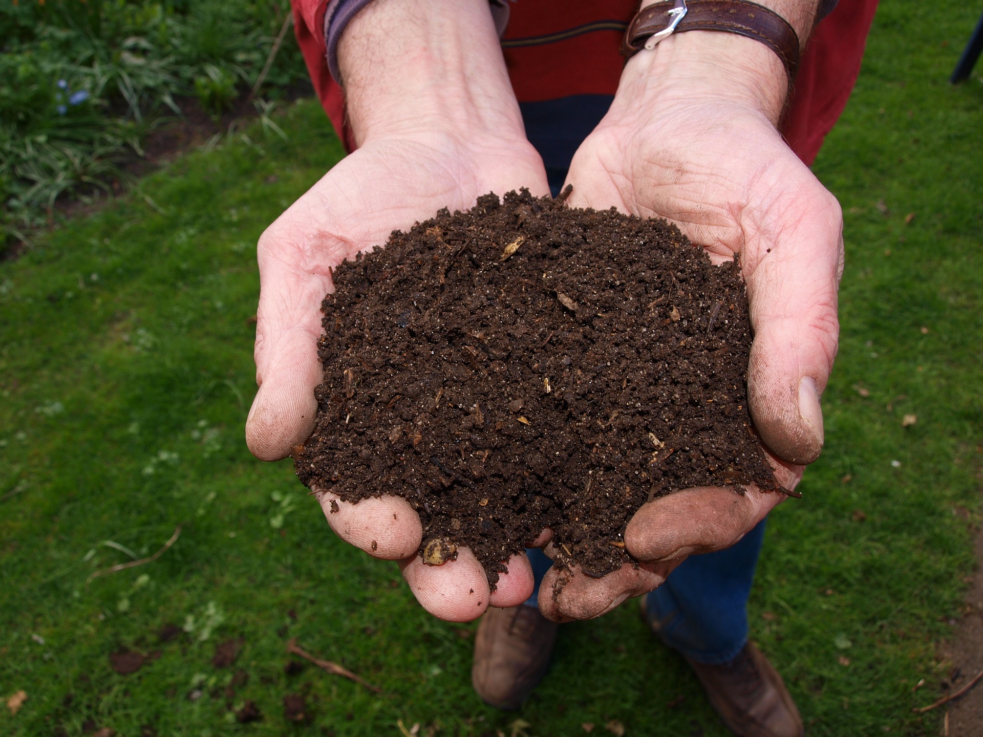 manos con compost