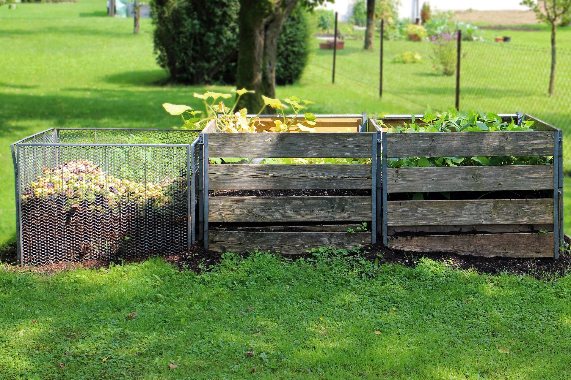 tres cajas de compost