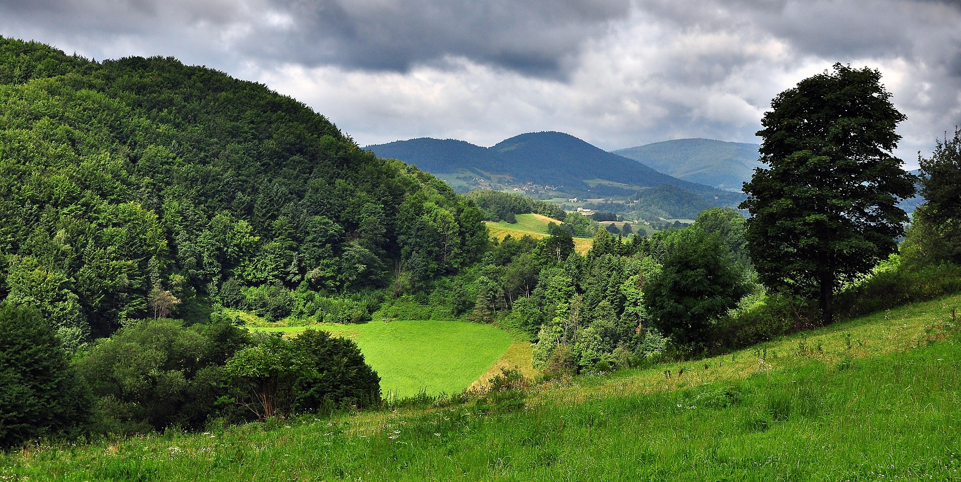 campo verde
